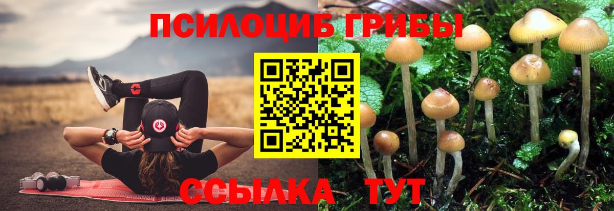 Псилоцибиновые грибы Psilocybine cubensis  Псилоцибиновые грибы мицелий  Вход с VPN  Сердобск 