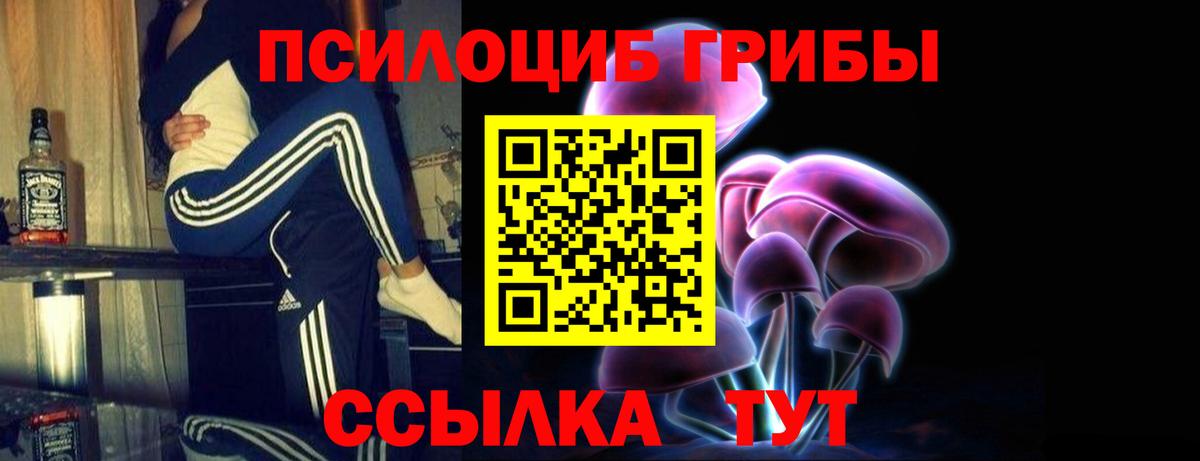Псилоцибиновые грибы ЛСД Сердобск